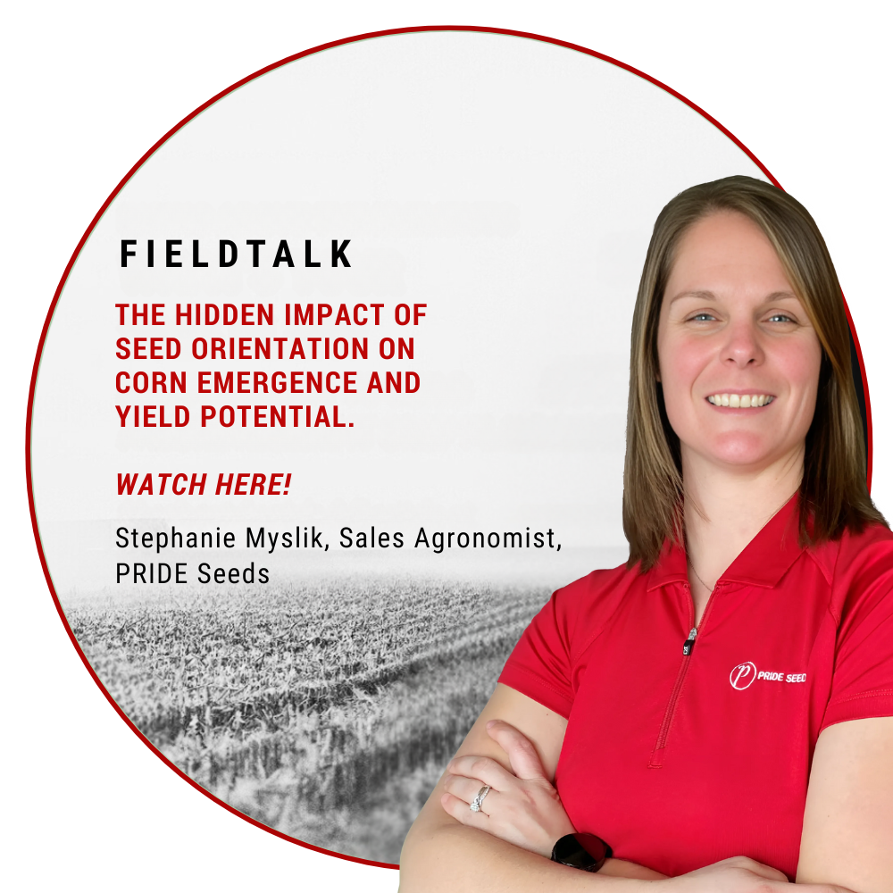 Field Talk - Steph Myslik